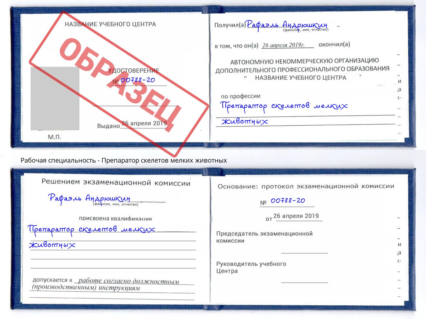 Препаратор скелетов мелких животных Балтийск