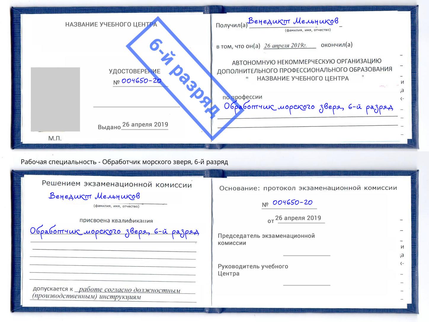корочка 6-й разряд Обработчик морского зверя Балтийск