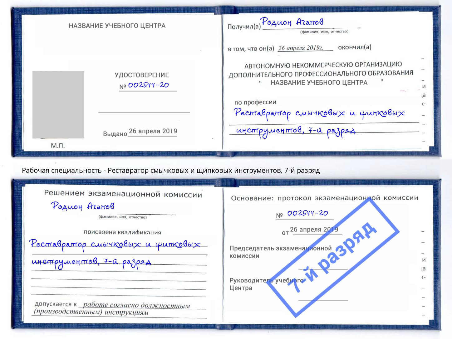 корочка 7-й разряд Реставратор смычковых и щипковых инструментов Балтийск